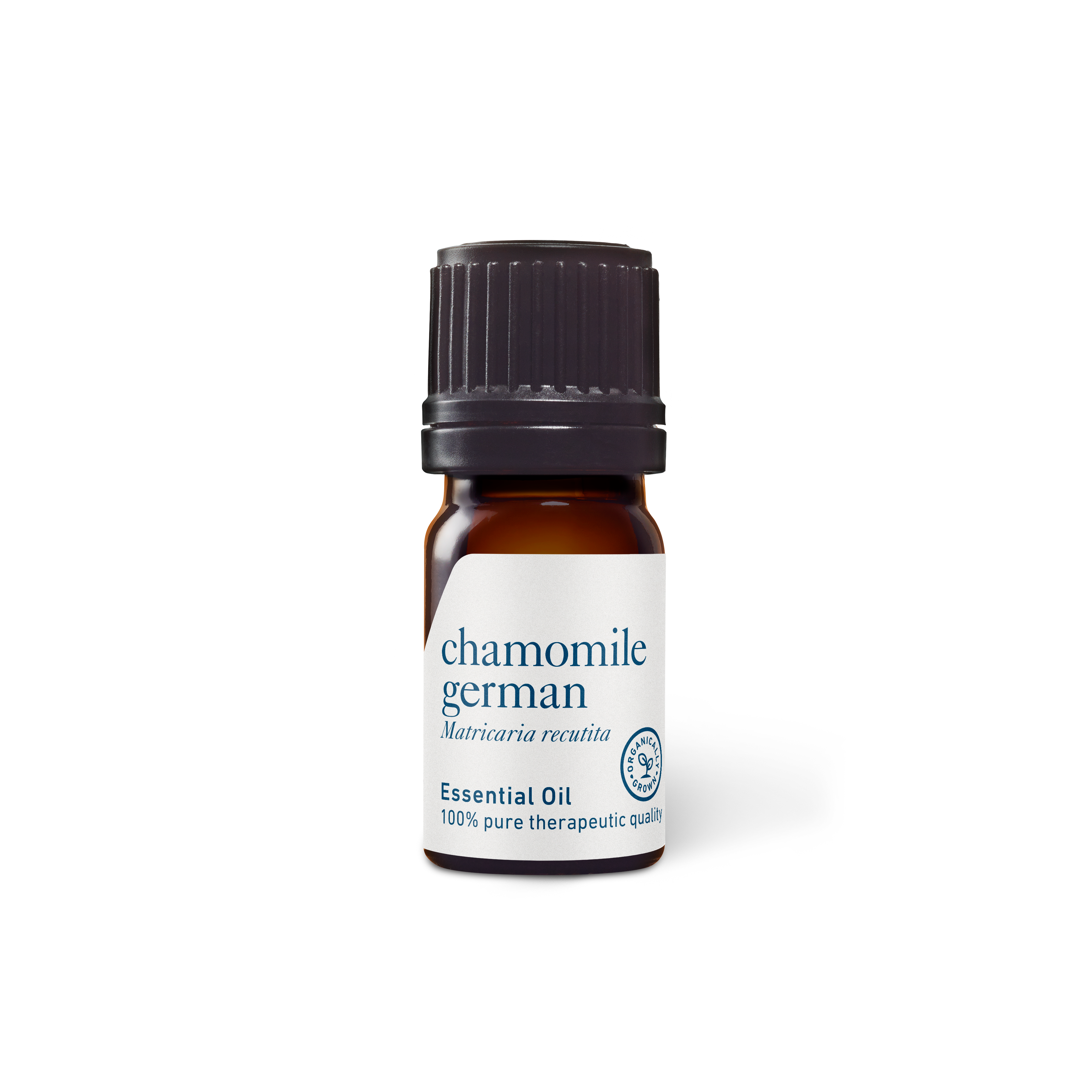 100% Pure Chamomilla matricaria Chamomile German Essential Oil, Natural at  Rs 35000/kg in Kannauj