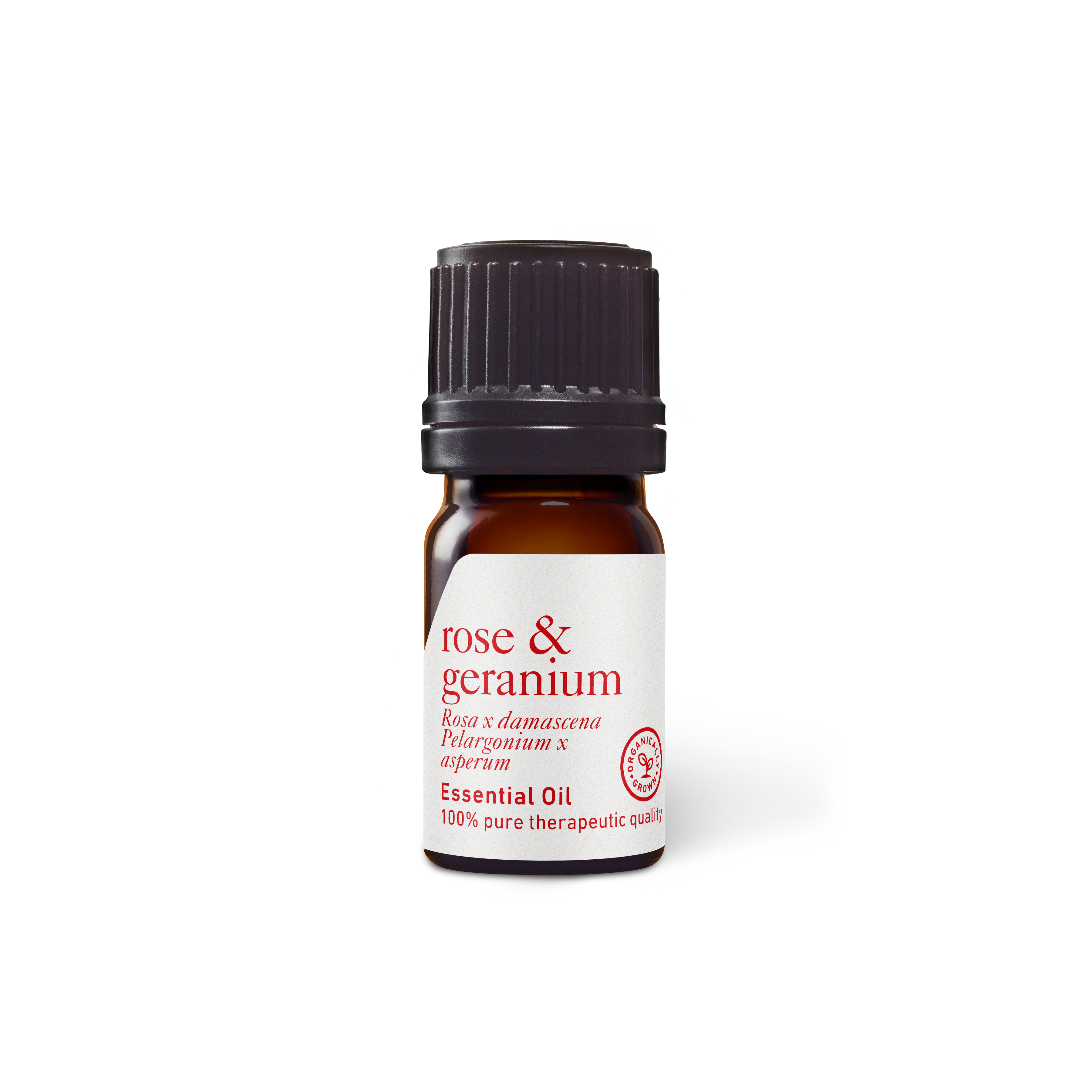 Rose and Geranium Essential Oil - Aromatics International