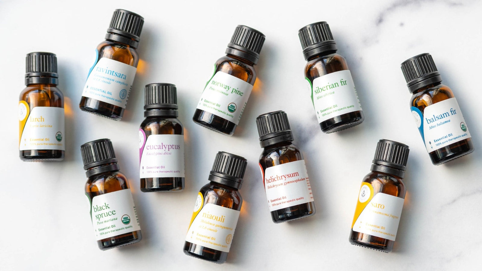 10 Essential Oils for Easier Breathing: Benefits for Respiratory Health - Aromatics International