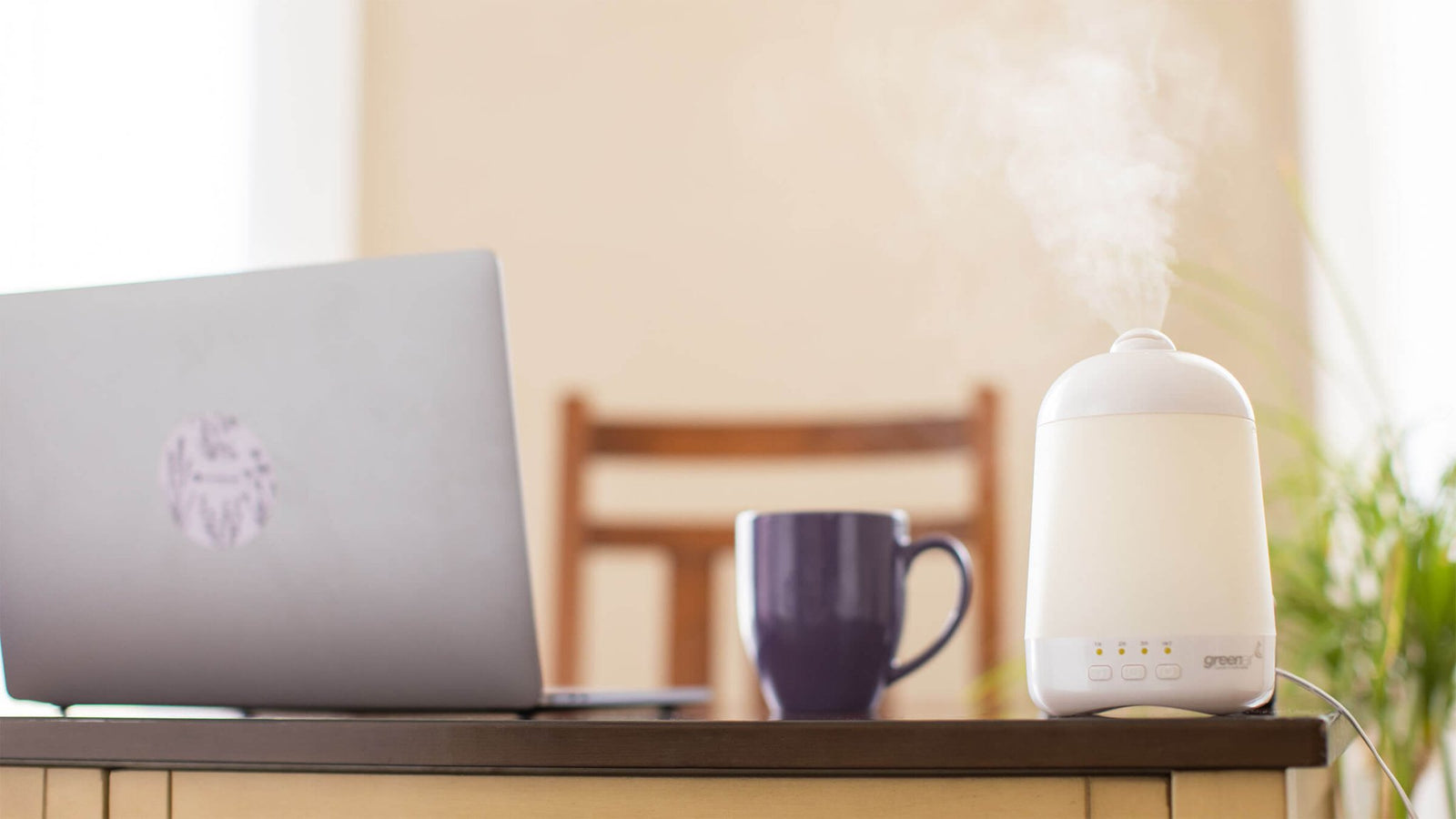 10 Essential oils for working from home - Aromatics International