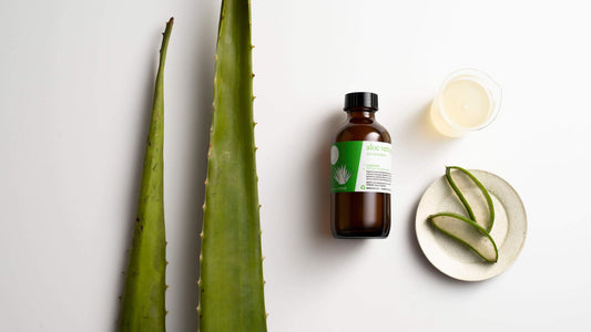 Aloe vera gel: the #1 carrier for summer skin care! - Aromatics International