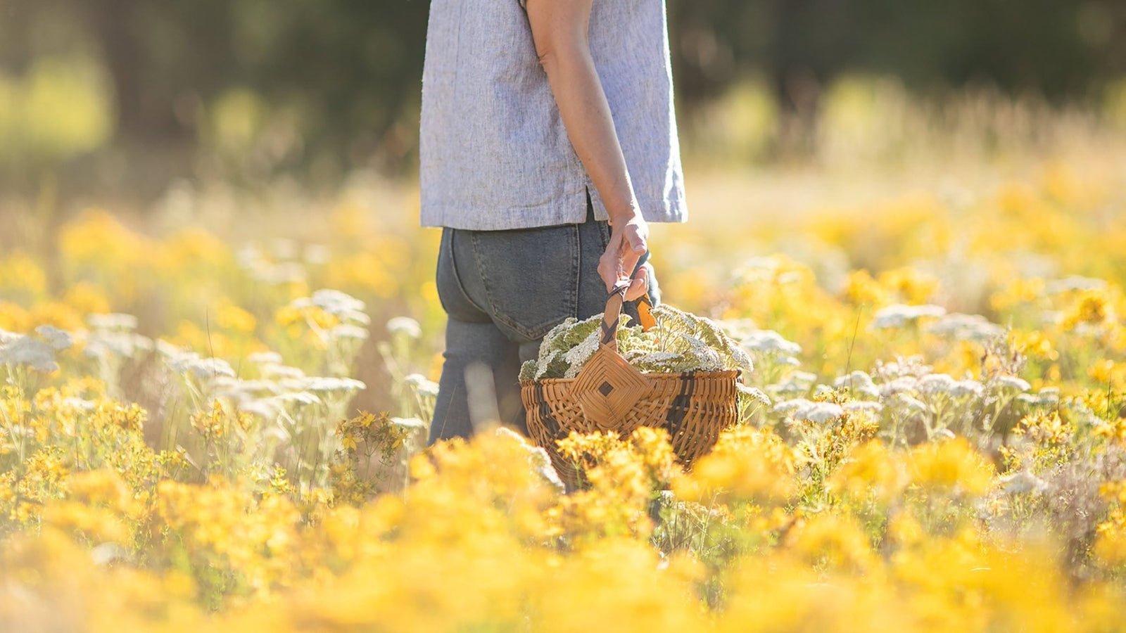 Blending essential oils based on plant parts - Aromatics International