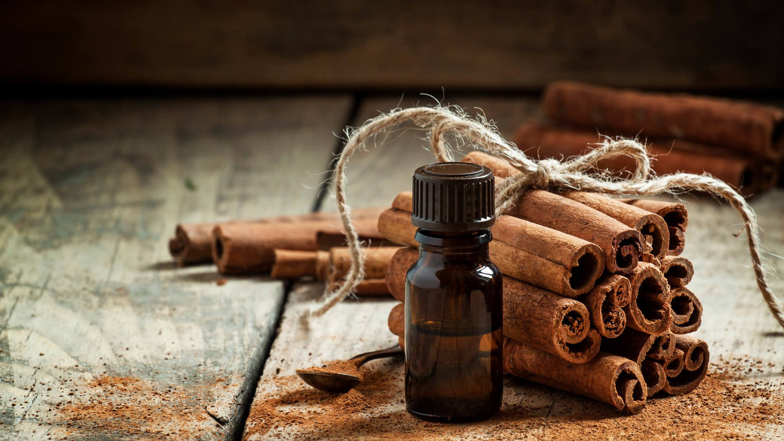 Cinnamon Immune Oil - Aromatics International