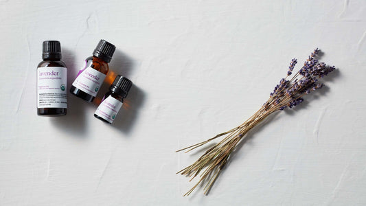 Our #1 Fan Favorite: Lavender Essential Oil! - Aromatics International