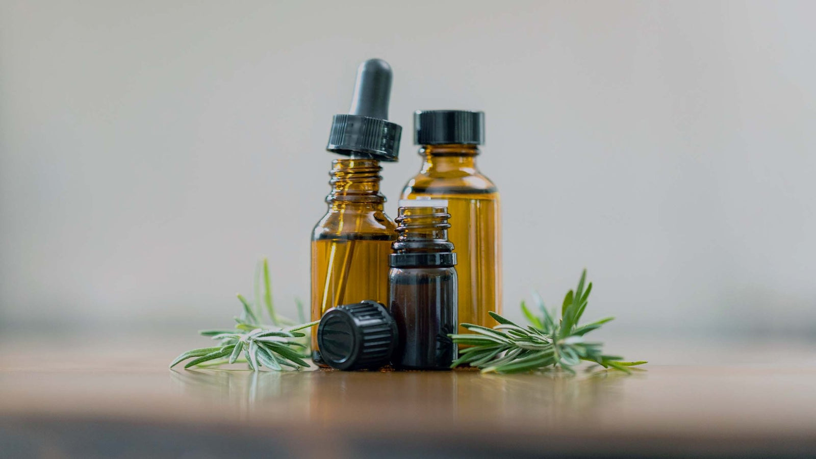 Our Favorite Conifer Oils for the Holiday Season - Aromatics International