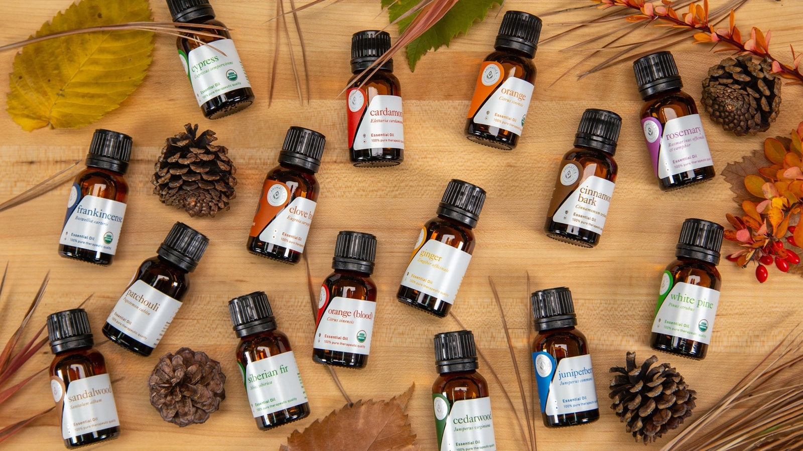 Fall Essential Oil Collection - Aromatics International