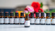 Valentine's Day Collection - Aromatics International