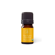 eucalyptus citriodora essential oil 5ml aromatics international