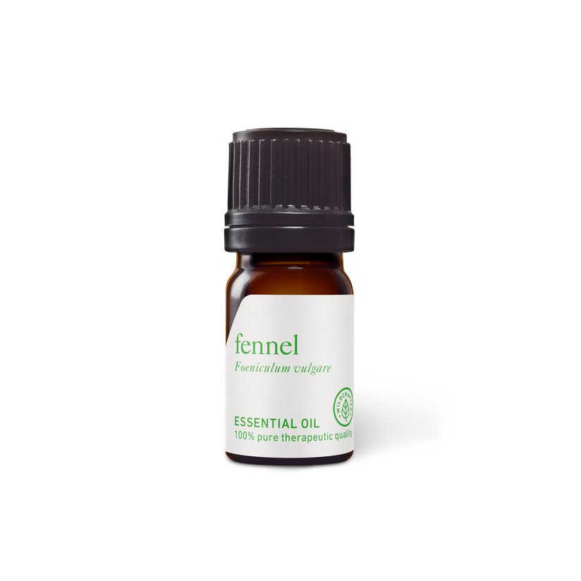 Safah's Natural Fennel Sweet Essential Oils 15ml - House of Raja`s