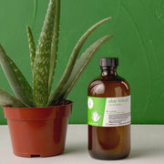 Aloe Vera Gel - 4fl - oz - Carriers - Aromatics International