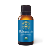 Balsam Fir Essential Oil - 30ml - Essential Oil Singles - Aromatics International