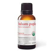 Balsam Poplar Essential Oil - 30ml - Essential Oil Singles - Aromatics International