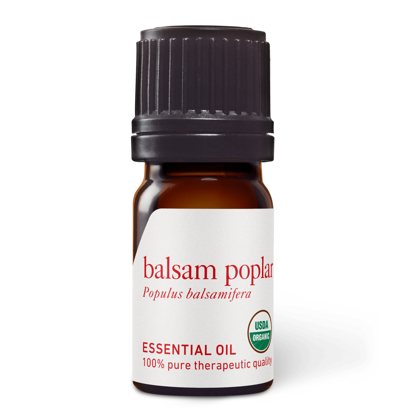 Balsam Poplar Essential Oil - 5ml - Essential Oil Singles - Aromatics International