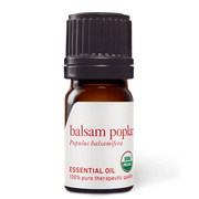 Balsam Poplar Essential Oil - 5ml - Essential Oil Singles - Aromatics International