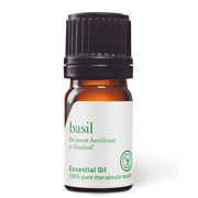 Basil Sweet Essential Oil - 5ml - Essential Oil Singles - Aromatics International