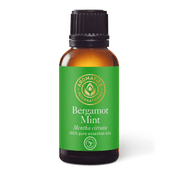 Bergamot Mint Essential Oil - 30ml - Essential Oil Singles - Aromatics International