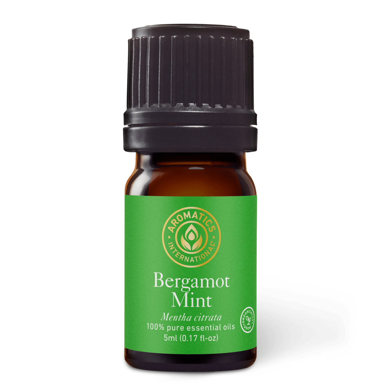 Bergamot Mint Essential Oil - 5ml - Essential Oil Singles - Aromatics International