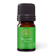 Bergamot Mint Essential Oil - 5ml - Essential Oil Singles - Aromatics International
