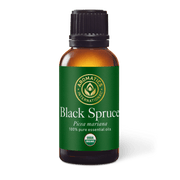 Black Spruce Essential Oil - 30ml - Essential Oil Singles - Aromatics International