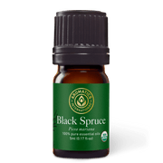 Black Spruce Essential Oil - 5ml - Essential Oil Singles - Aromatics International