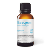 Blue Cypress Essential Oil - 30ml - Essential Oil Singles - Aromatics International