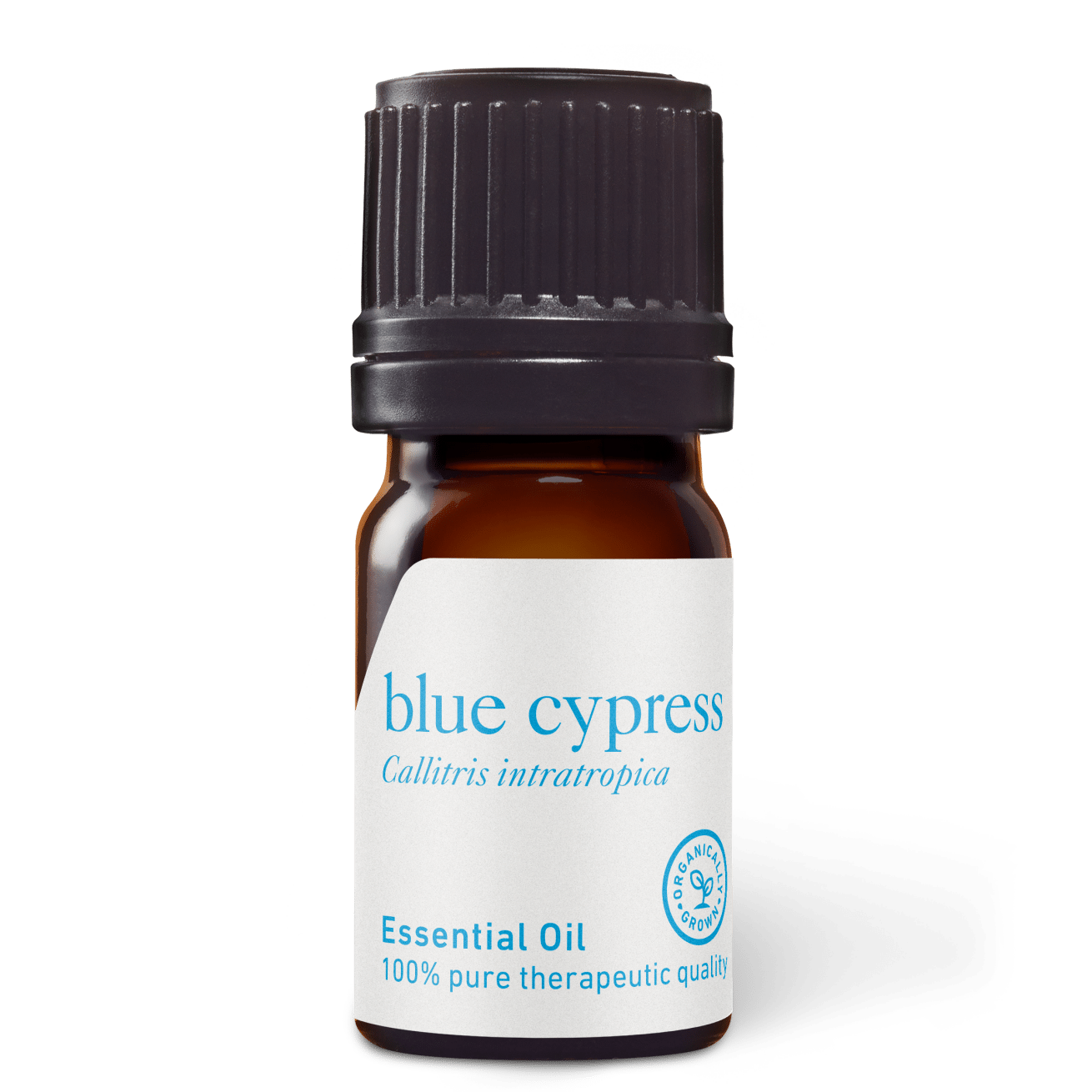 Blue Cypress Essential Oil - 5ml - Essential Oil Singles - Aromatics International