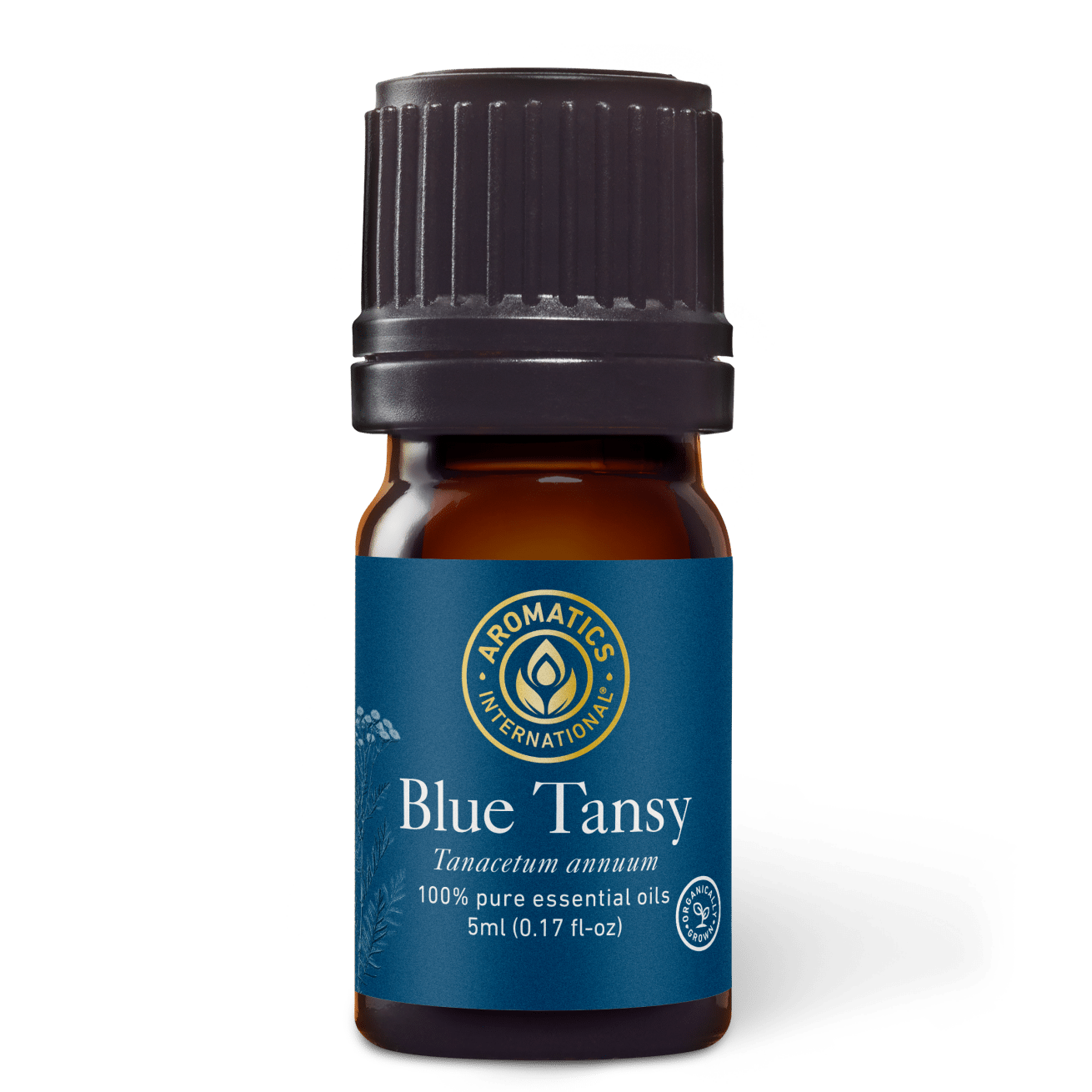 Blue Tansy Essential Oil - 5ml - Essential Oil Singles - Aromatics International