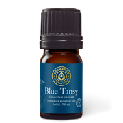 Blue Tansy Essential Oil - 5ml - Essential Oil Singles - Aromatics International