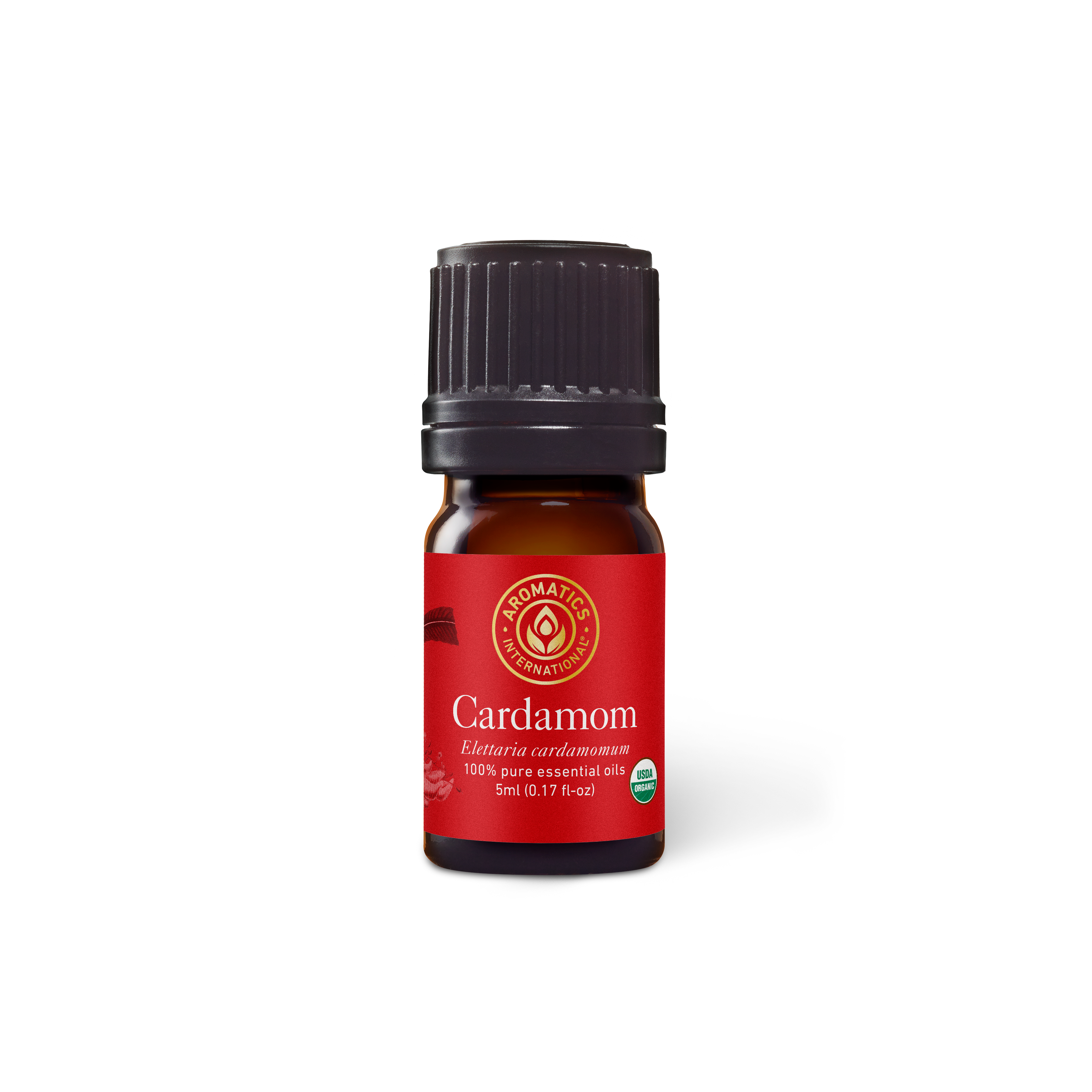 Cardamom Essential Oil - 5ml - Essential Oil Singles - Aromatics International