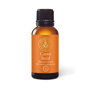 Carrot Seed Essential Oil - 30ml - Essential Oil Singles - Aromatics International