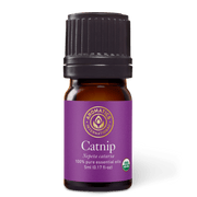 Catnip Essential Oil - 5ml - Essential Oil Singles - Aromatics International