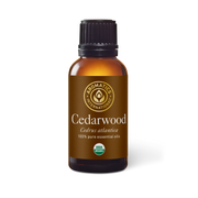 Cedarwood Atlas Essential Oil - 30ml - Essential Oil Singles - Aromatics International