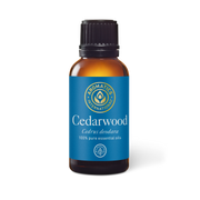 Cedarwood Indian Essential Oil - 30ml - Essential Oil Singles - Aromatics International