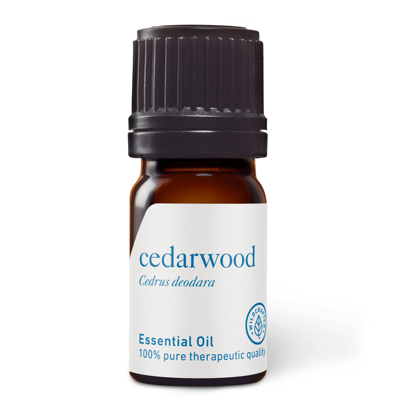 Cedarwood Indian Essential Oil - 5ml - Essential Oil Singles - Aromatics International