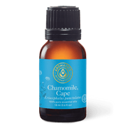 Chamomile Cape Essential Oil - 15ml - Essential Oil Singles - Aromatics International