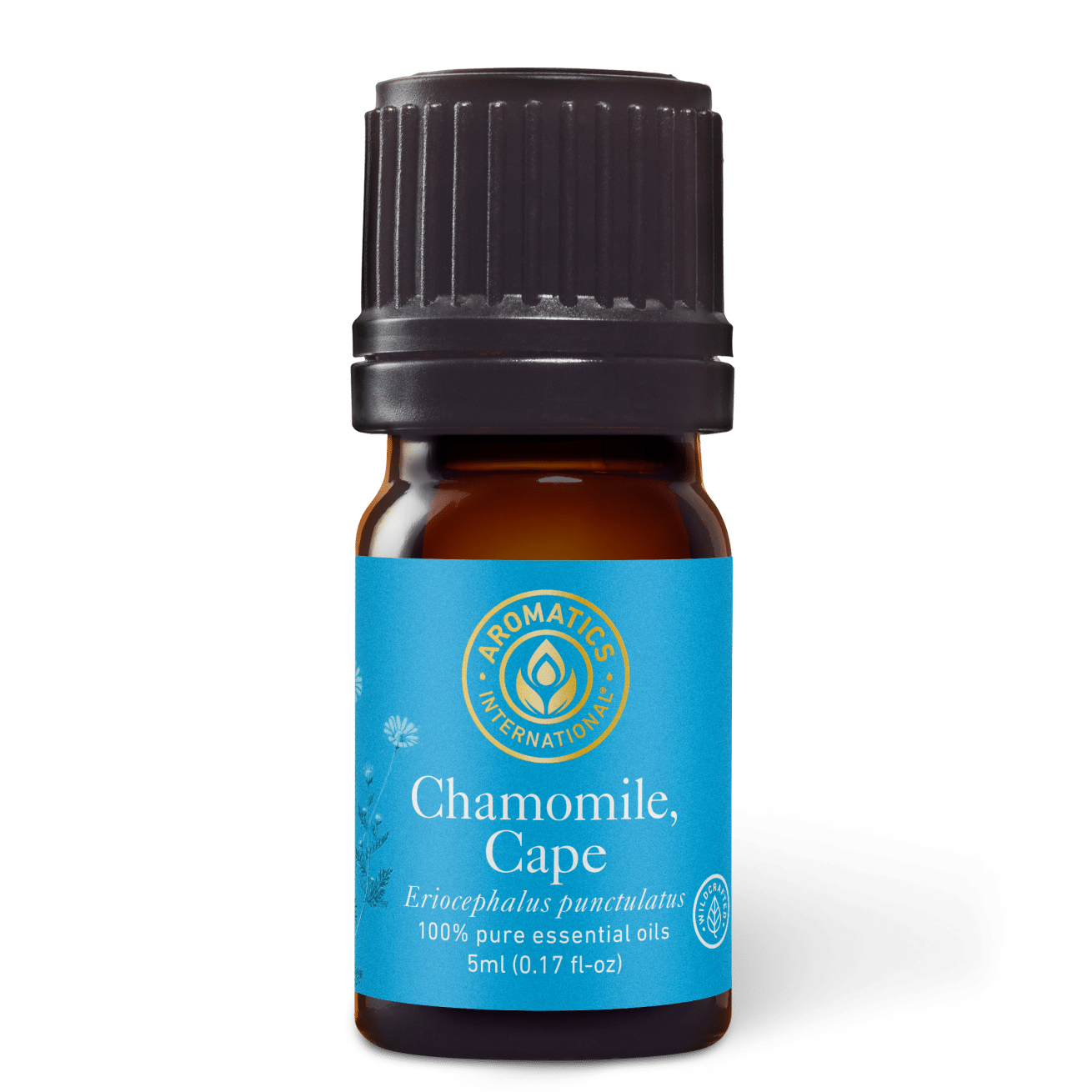 Chamomile Cape Essential Oil - 5ml - Essential Oil Singles - Aromatics International