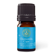 Chamomile Cape Essential Oil - 5ml - Essential Oil Singles - Aromatics International