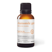 Chamomile German Essential Oil (Nepal) - 30ml - Essential Oil Singles - Aromatics International