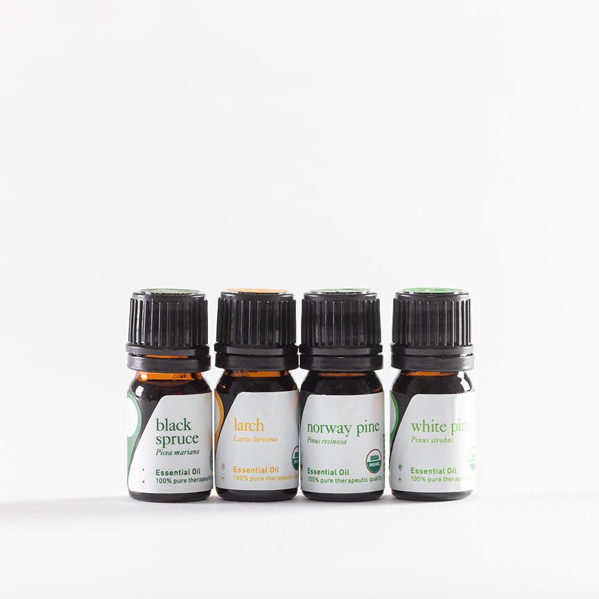 Christmas Tree Aroma Set | Aromatics International | aromatics.com