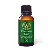 Cinnamon Leaf Essential Oil - 30ml - Essential Oil Singles - Aromatics International