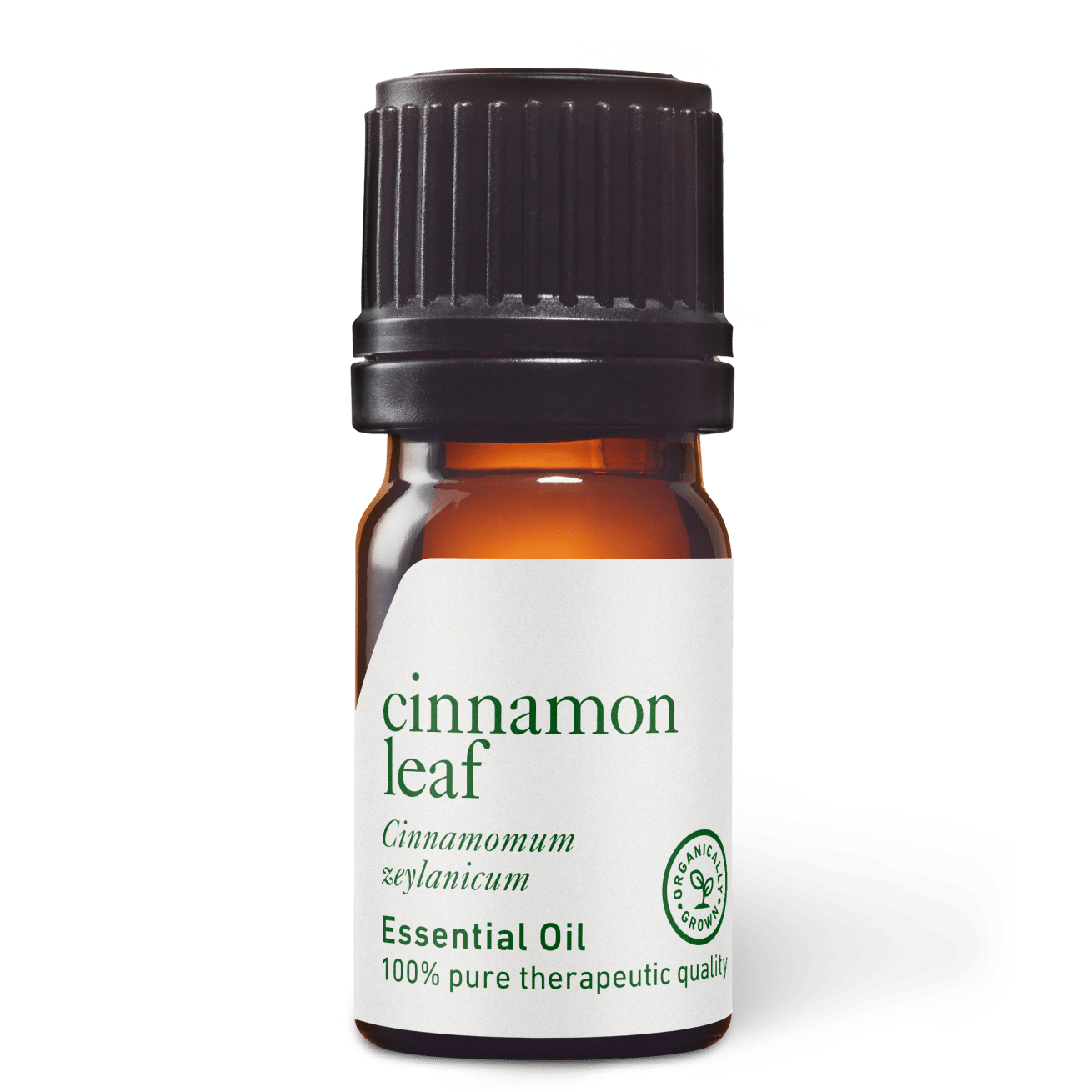 Cinnamon Leaf Essential Oil - 5ml - Essential Oil Singles - Aromatics International