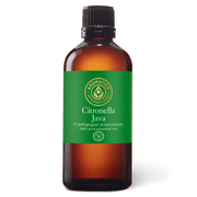 Citronella Java Essential Oil - 100ml - Essential Oil Singles - Aromatics International