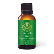 Citronella Java Essential Oil - 30ml - Essential Oil Singles - Aromatics International