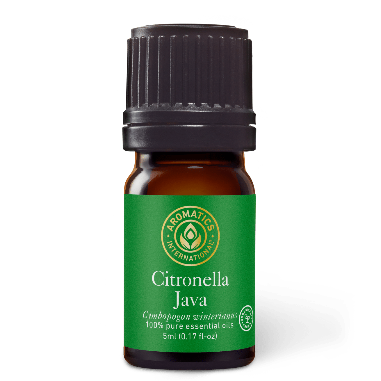 Citronella Java Essential Oil - 5ml - Essential Oil Singles - Aromatics International