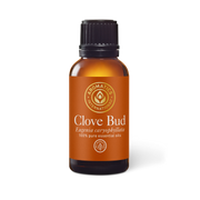 Clove Bud Essential Oil - 30ml - Essential Oil Singles - Aromatics International