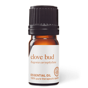 Clove Bud Essential Oil - 5ml - Essential Oil Singles - Aromatics International