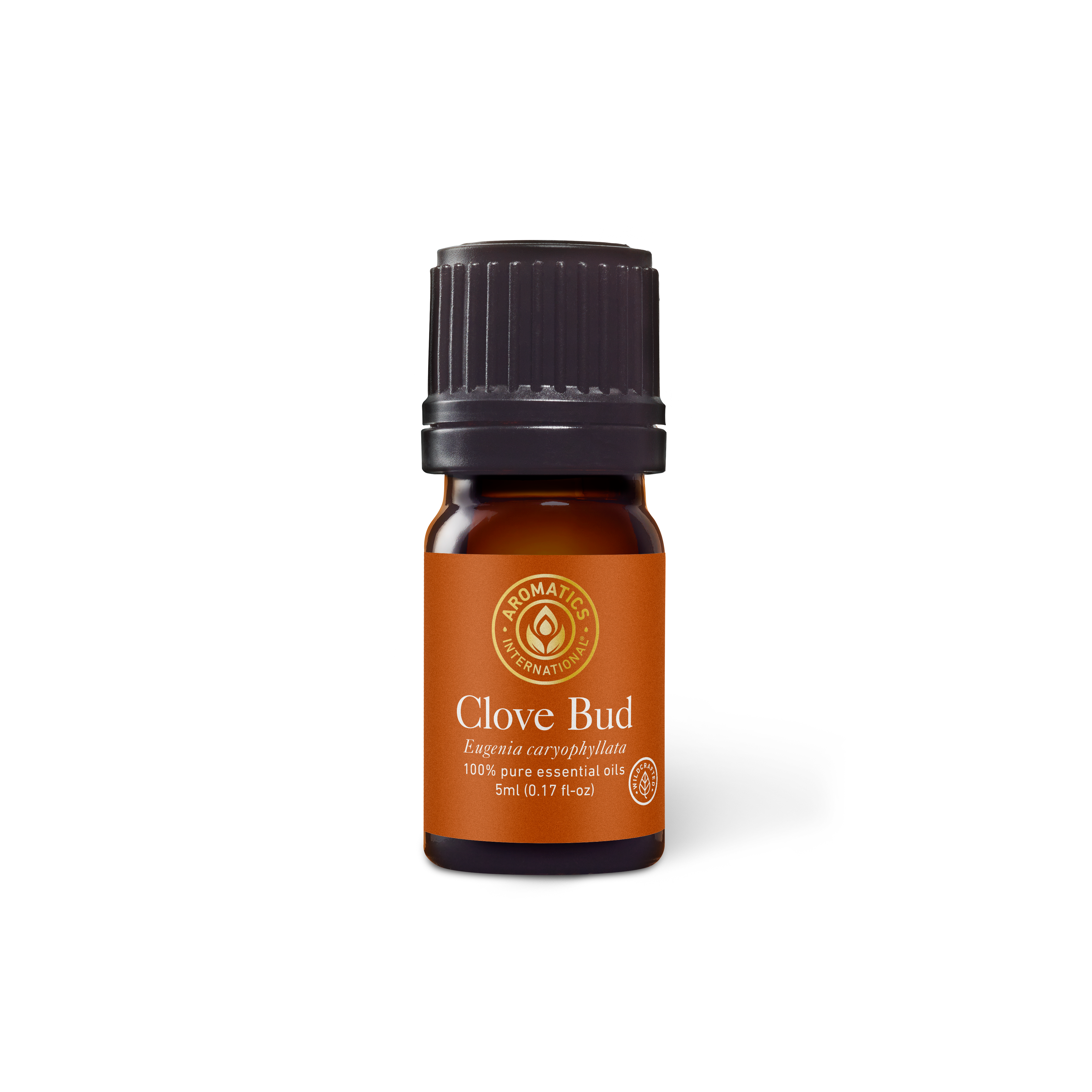 Clove Bud Essential Oil - 5ml - Essential Oil Singles - Aromatics International