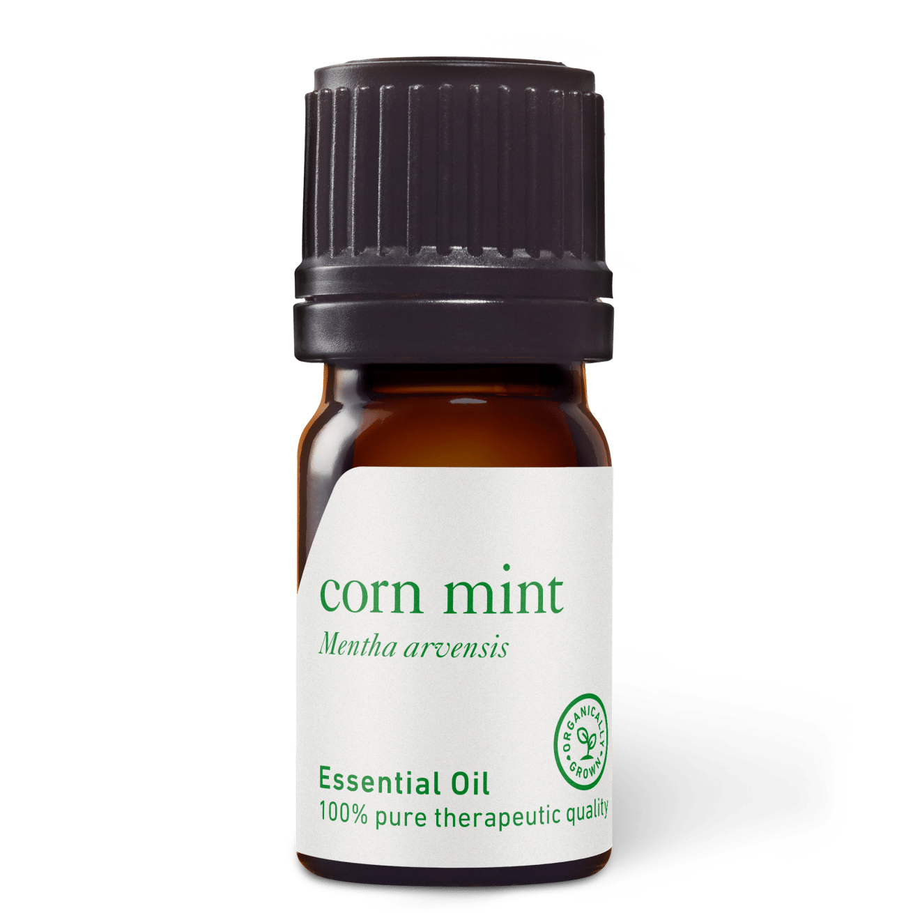 Corn Mint (Wild Mint) Essential Oil - 5ml - Essential Oil Singles - Aromatics International