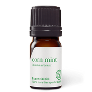 Corn Mint (Wild Mint) Essential Oil - 5ml - Essential Oil Singles - Aromatics International