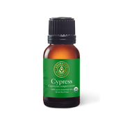 Cypress Essential Oil - 15ml - Essential Oil Singles - Aromatics International